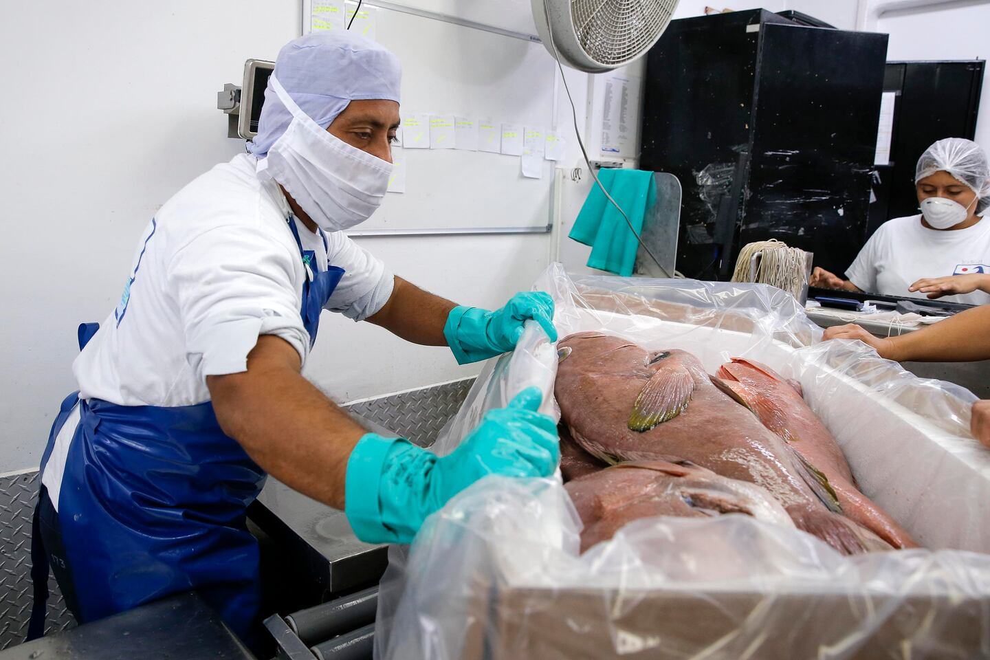 Martec adeuda $45 millones a bancos e inversionistas | La Nación