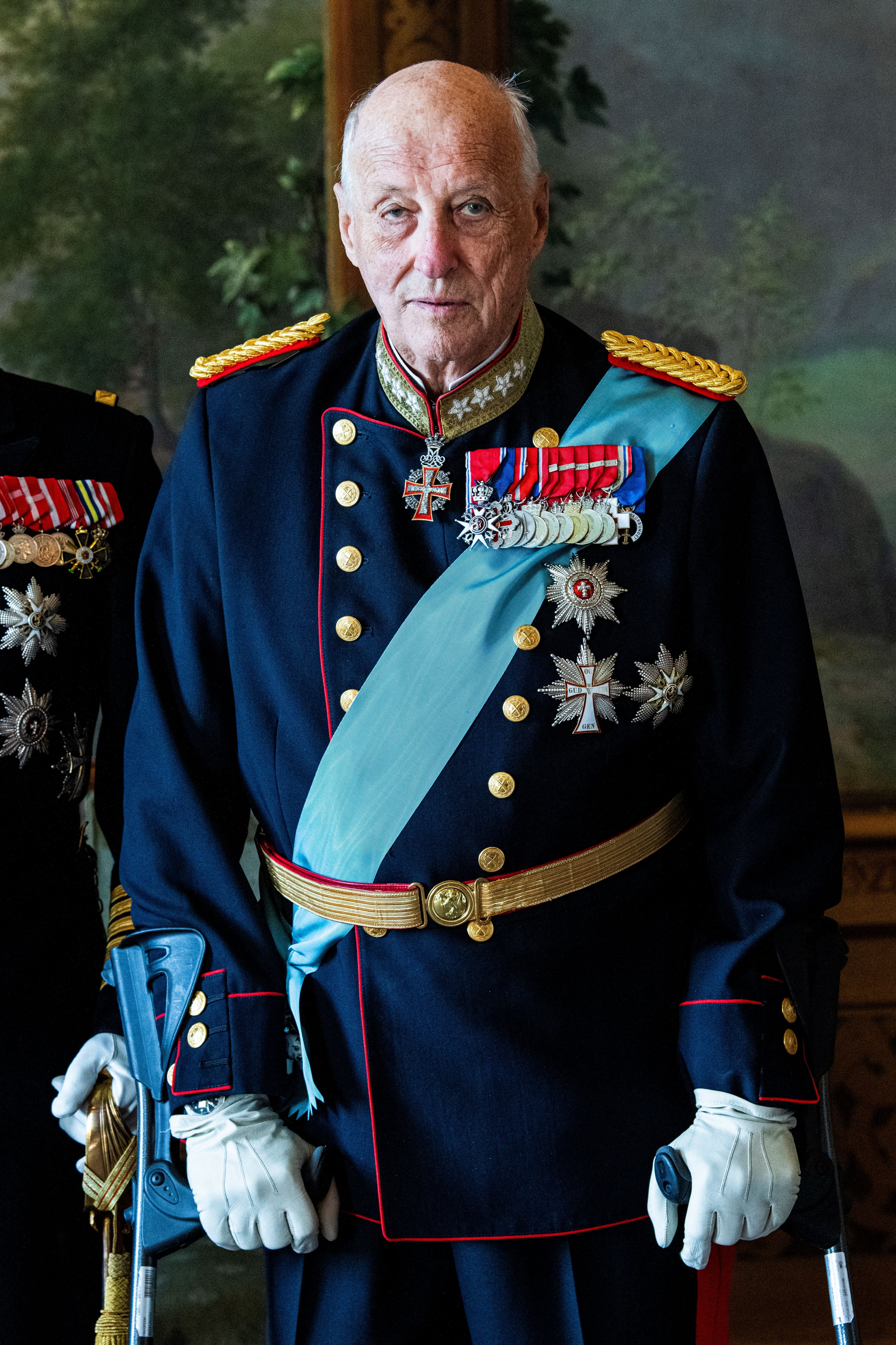 Rey Harald V Noruega
