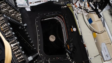 Vea aquí la transmisión en vivo del histórico sobrevuelo a la Luna: astronautas de Artemis II llegan a la órbita lunar este lunes 6 de abril