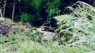 Así quedó el vehículo que cayó en un guindo en la ruta 32