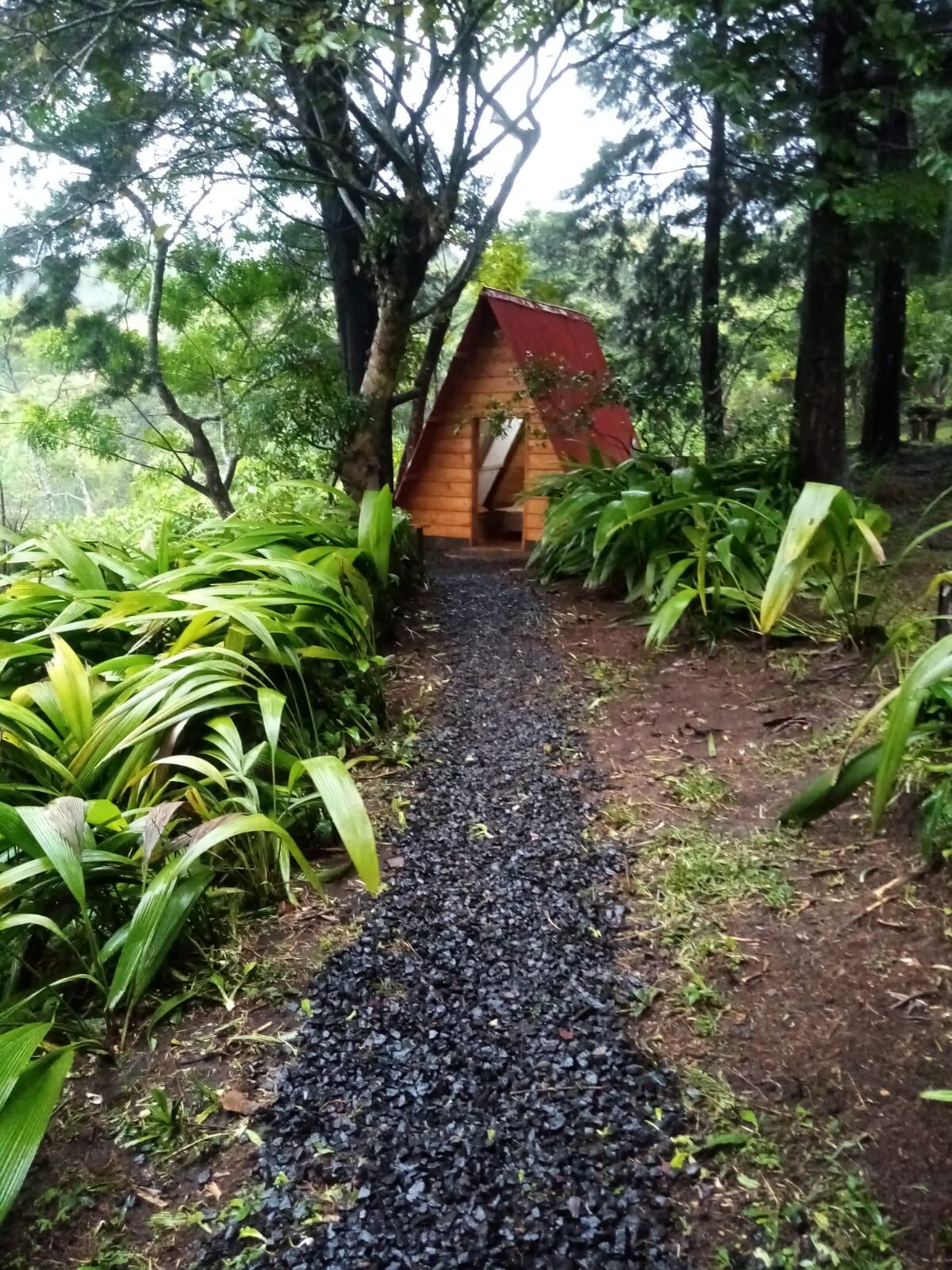 Finca Eco-Turística Poás. (Cortesía)