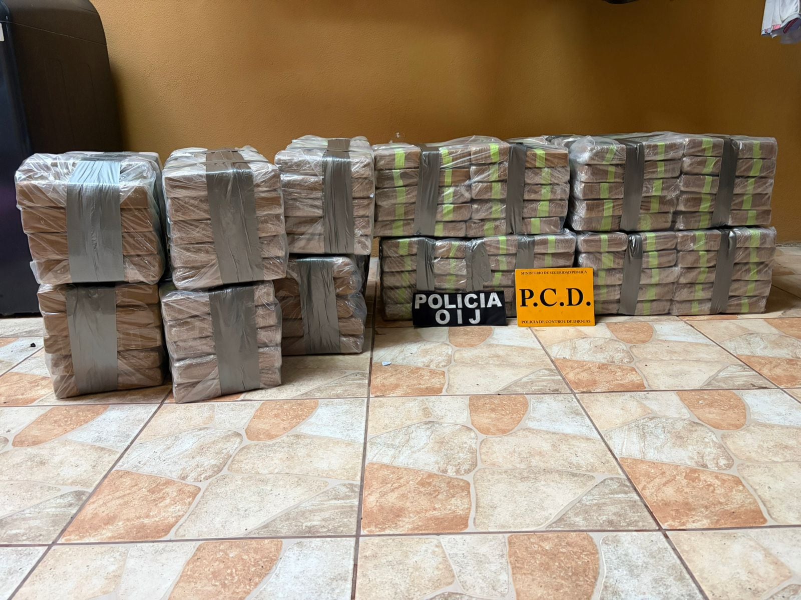 PCD decomisó gran cantidad de presunta droga durante los allanamientos.