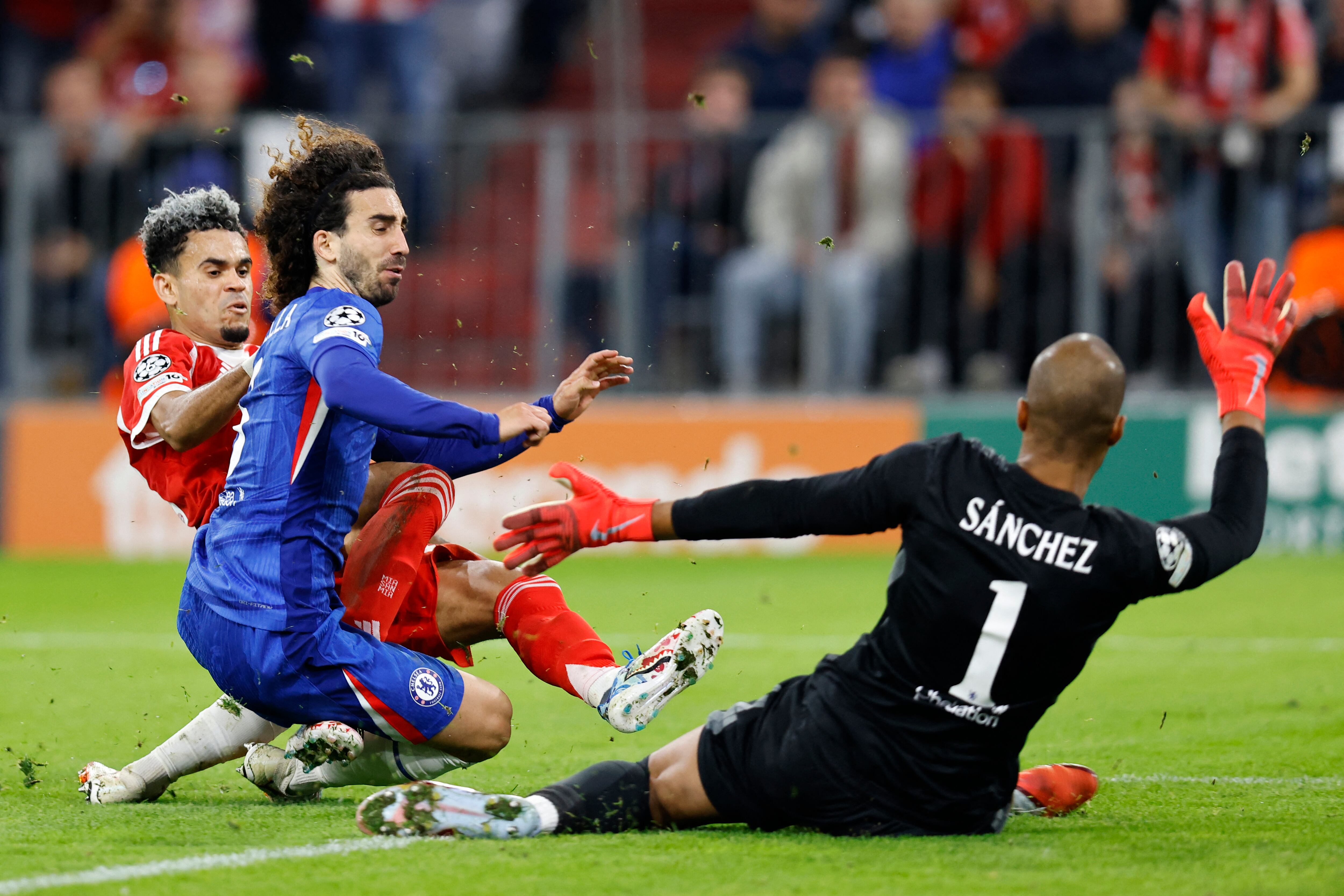 El colombiano del Bayern Múnich Luis Díaz (izq.), el defensor español Marc Cucurella y el arquero español del Chelsea Robert Sánchez protagonizan esta acción durante el compromiso por Champions League.