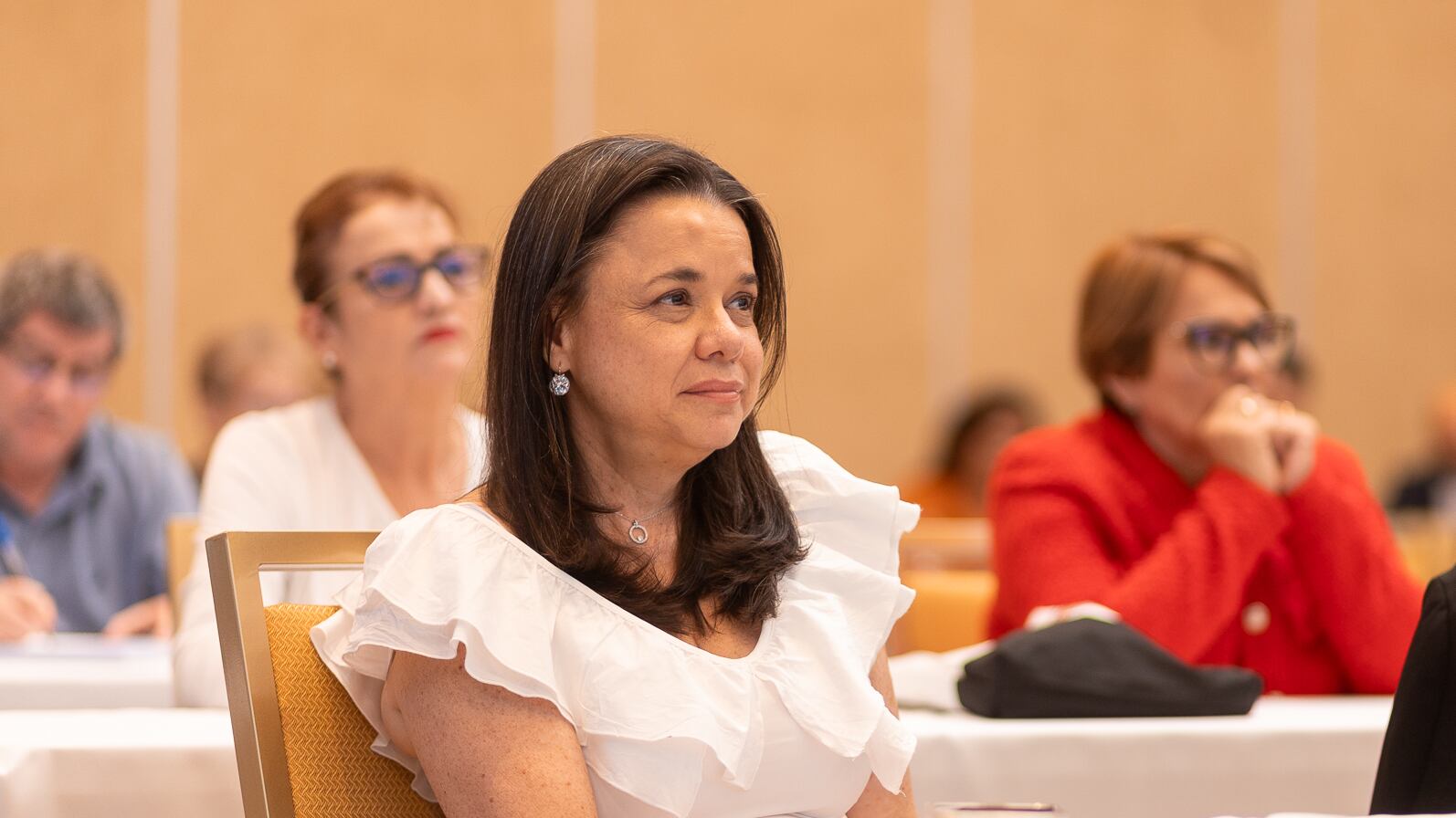 Karen Porras, directora ejecutiva de la Unión Nacional de Gobiernos Locales.