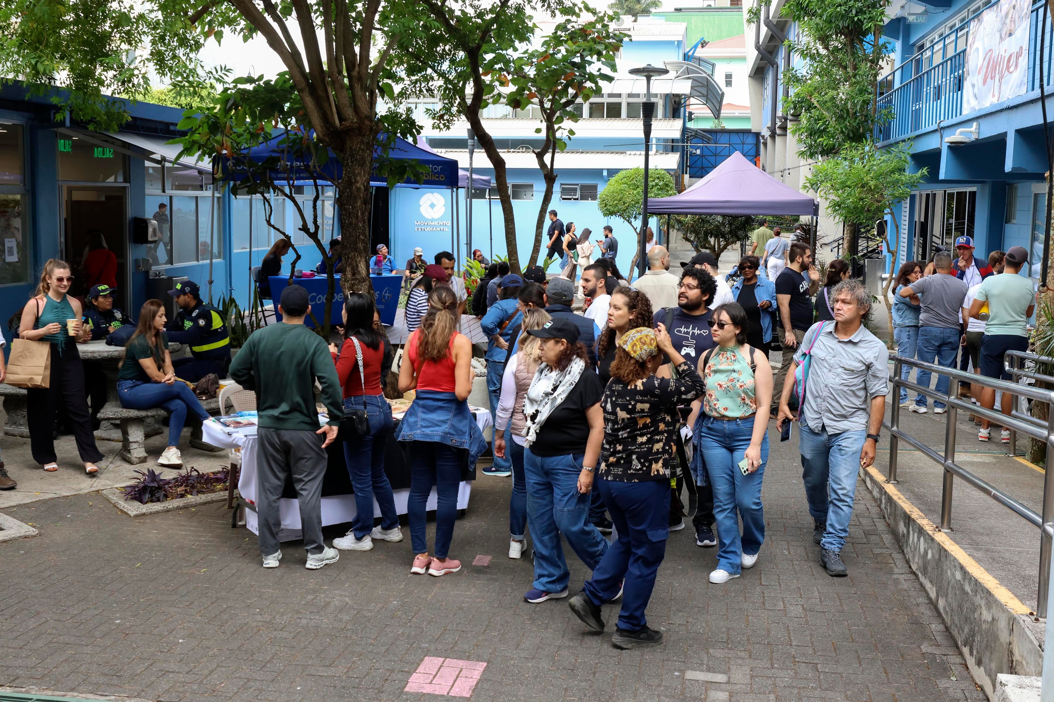 Festival Amón Cultural
