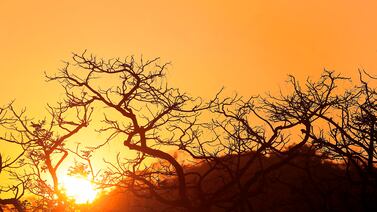 Estación seca llegará más tarde al Valle Central, Guanacaste y el Pacífico central