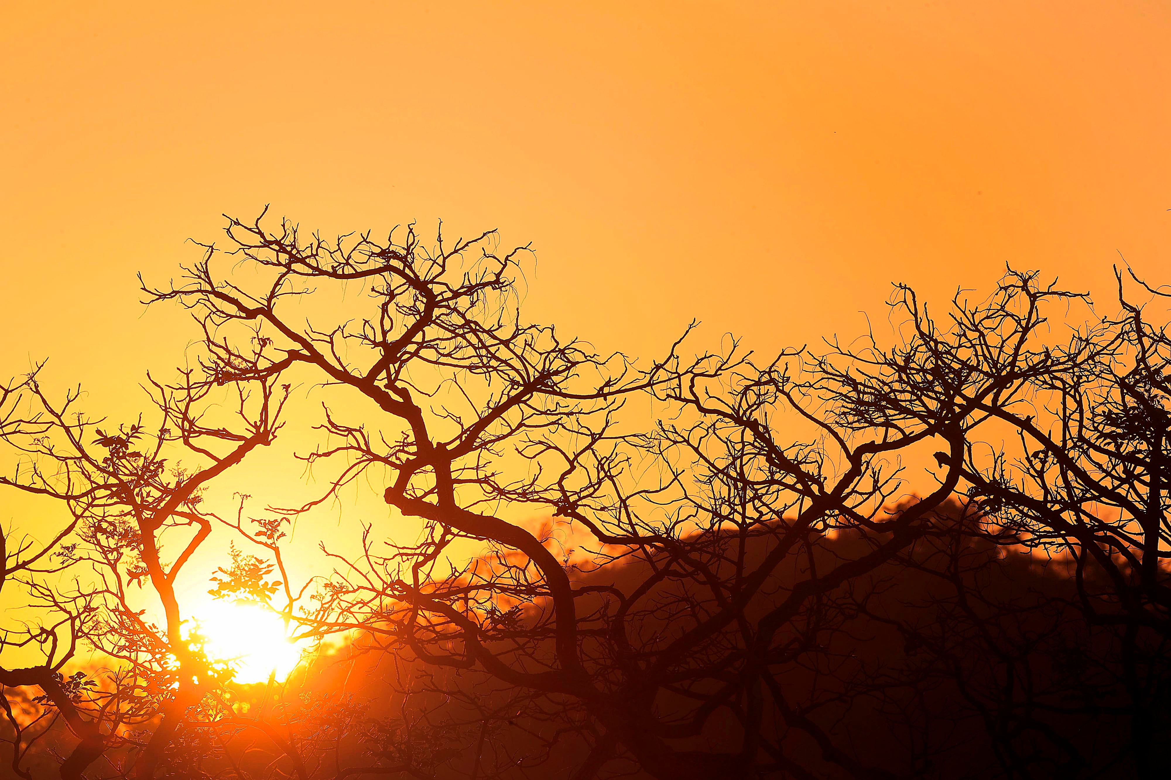 10/03/2024 Playa Conchal, Guanacaste. Arena, playa y sol... y los turistas que llegan a disfrutar de las buenas condiciones del clima, con cielo azul despejado, eso sí con mucho calor. Foto: Rafael Pacheco Granados