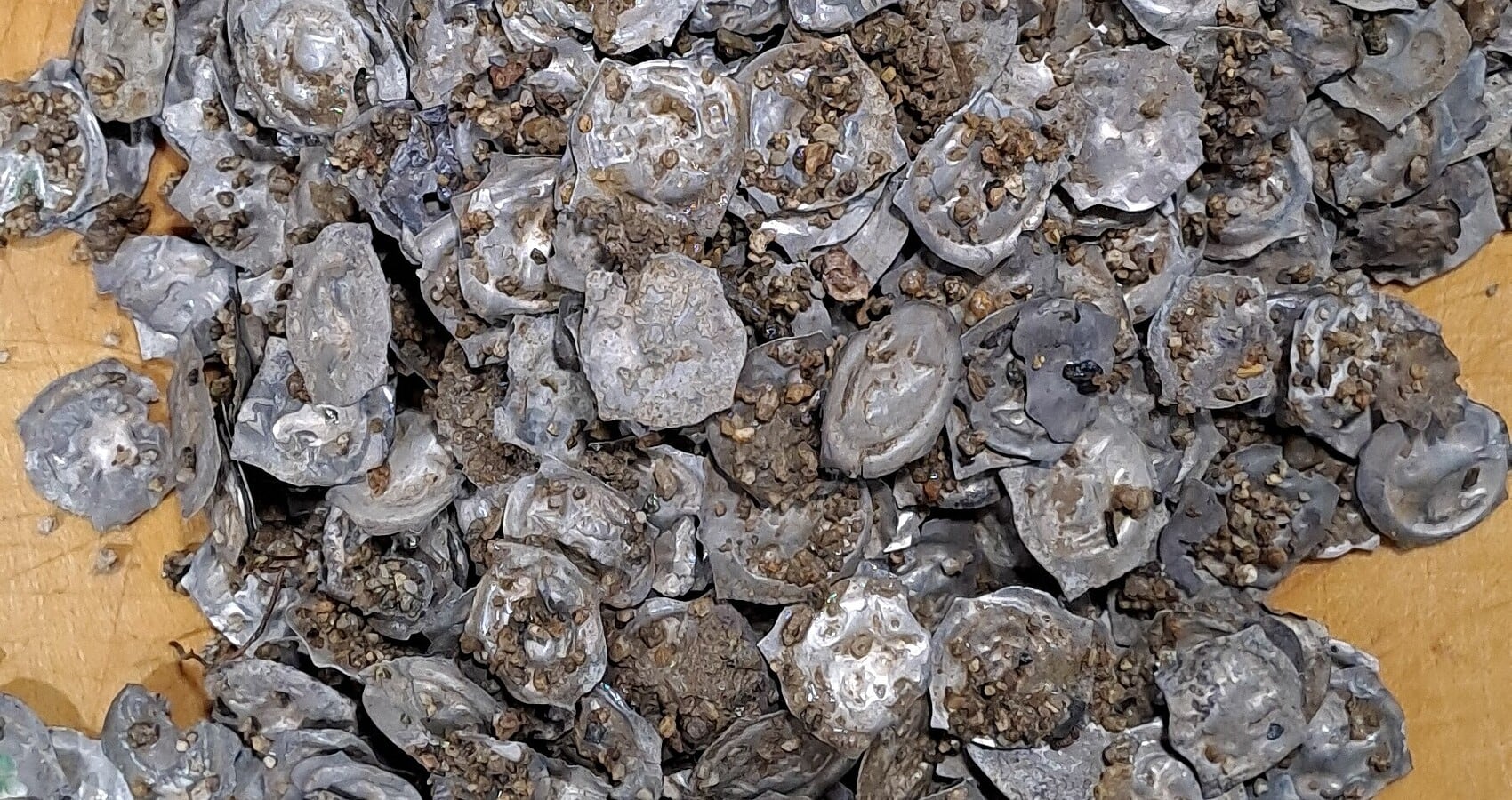 Un residente de Glottertal descubre más de 1.600 monedas medievales, revelando detalles de la economía de la Edad Media.