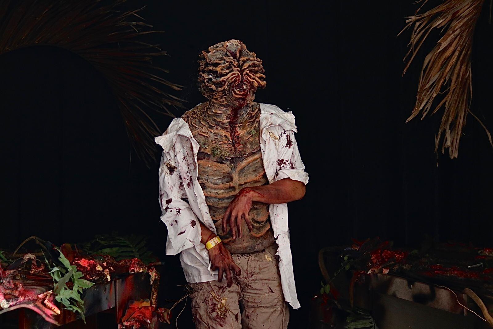 Connecturday 2023. Foto: Lilly Arce