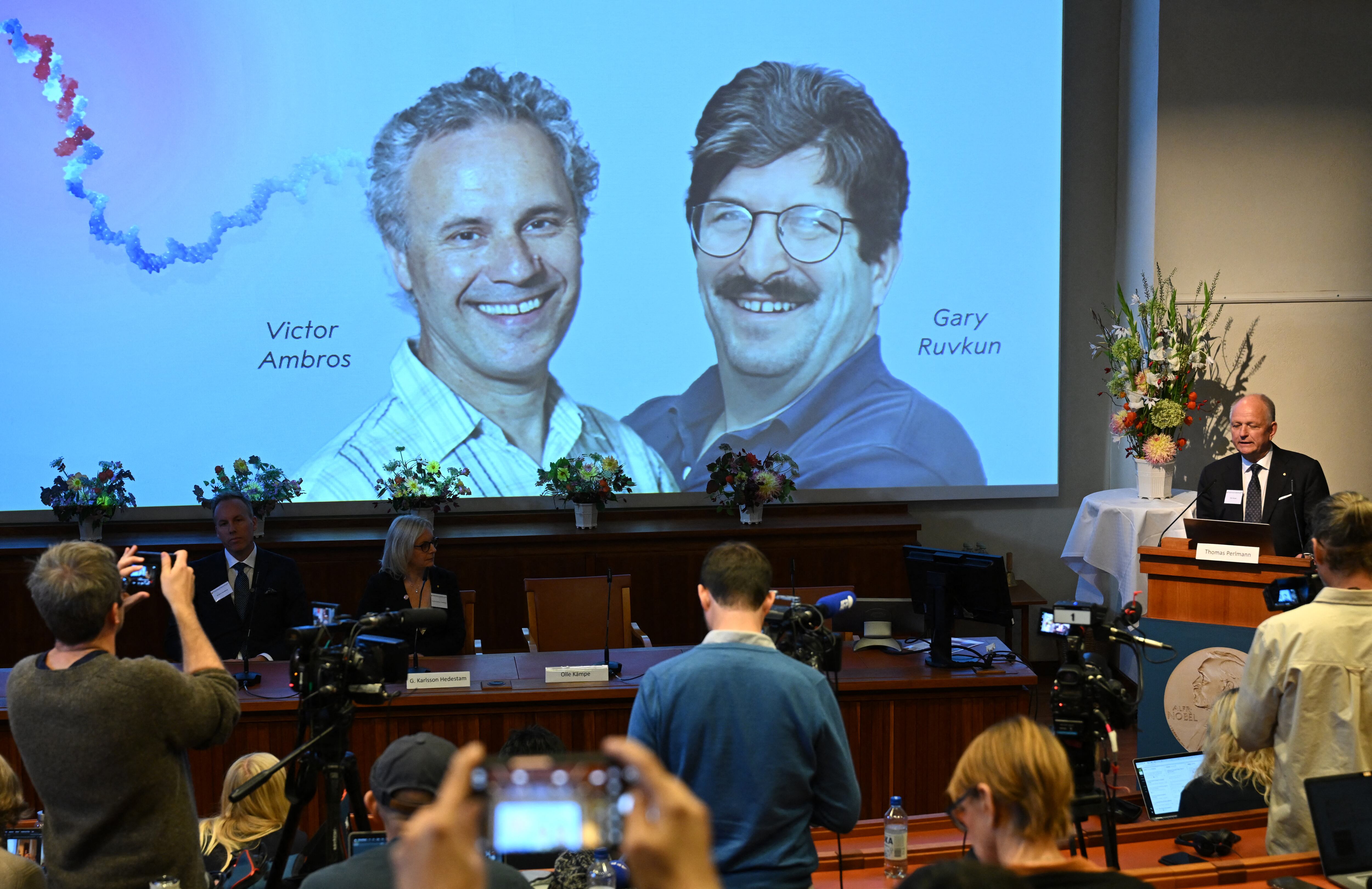Olle Kaempe, miembro de la Asamblea Nobel, habla con los medios de comunicación frente a una pantalla que muestra una imagen de los galardonados de este año, Victor Ambros y Gary Ruvkum, durante el anuncio de los ganadores del Premio Nobel de Fisiología o Medicina 2024 en el Instituto Karolinska de Estocolmo.