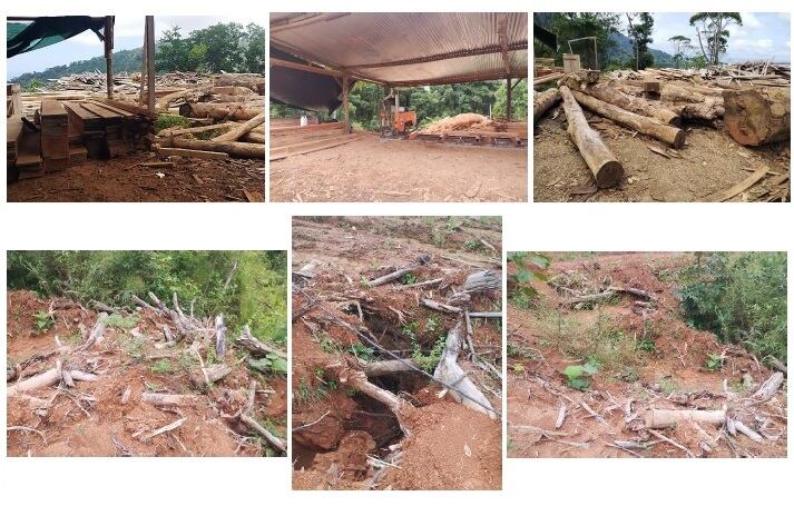 Imágenes captadas por el Sinac de la destrucción de bosques en el terreno donde Setena autorizó construir un residencial en el corredor biológico La Danta, en Savegre, Quepos.