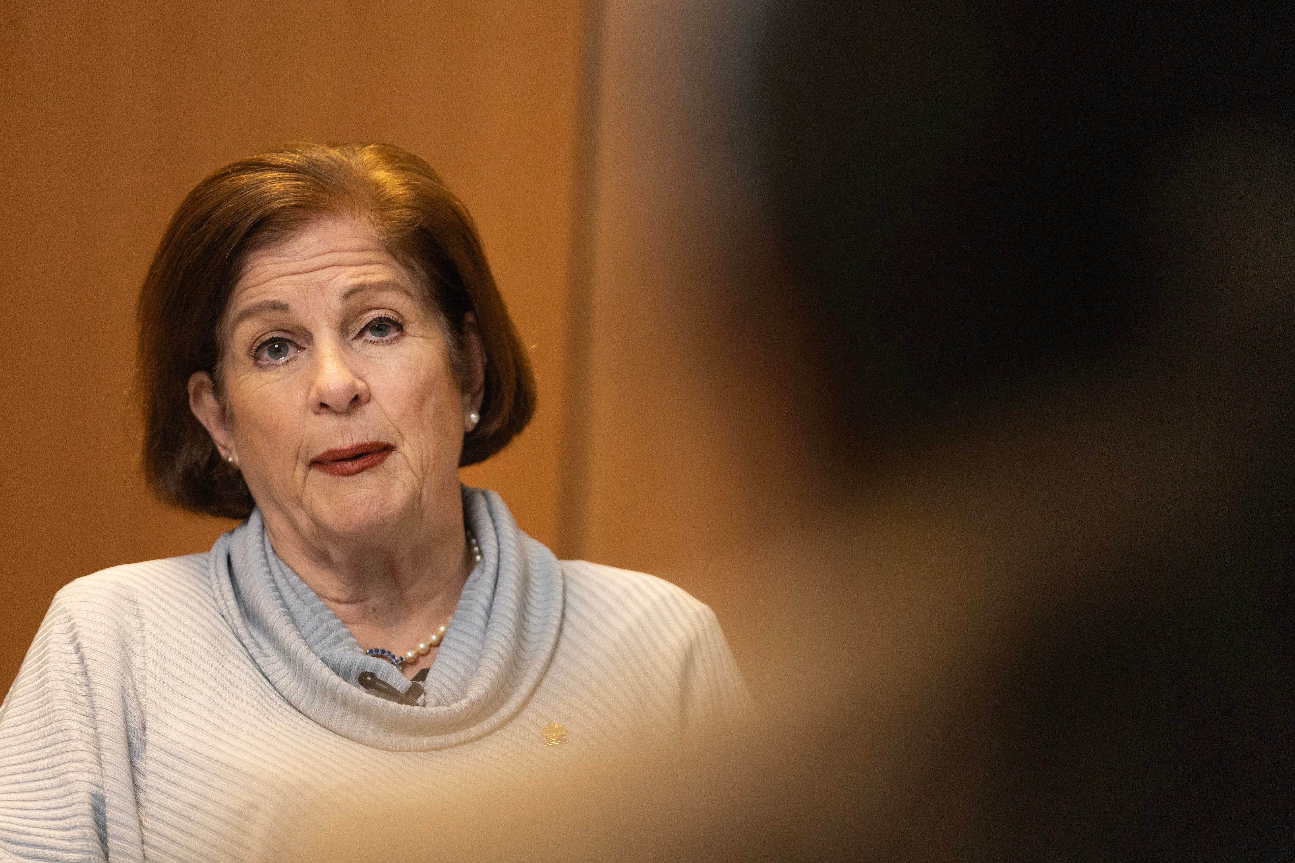 Diputada Pilar Cisneros