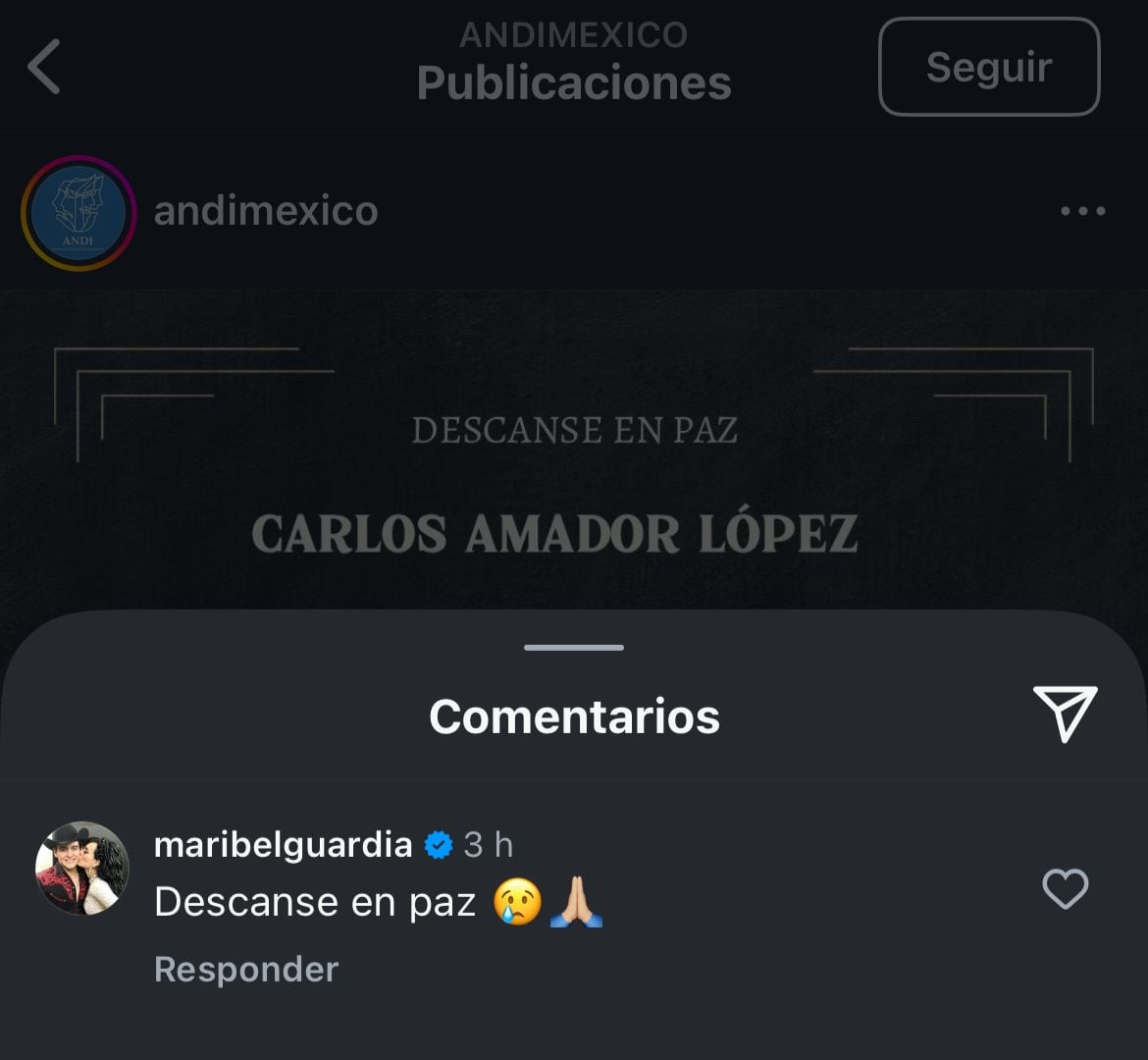 La actriz y cantante, Maribel Guardia, dejó un mensaje en la cuenta oficial de la Asociación Nacional de Intérpretes de México.