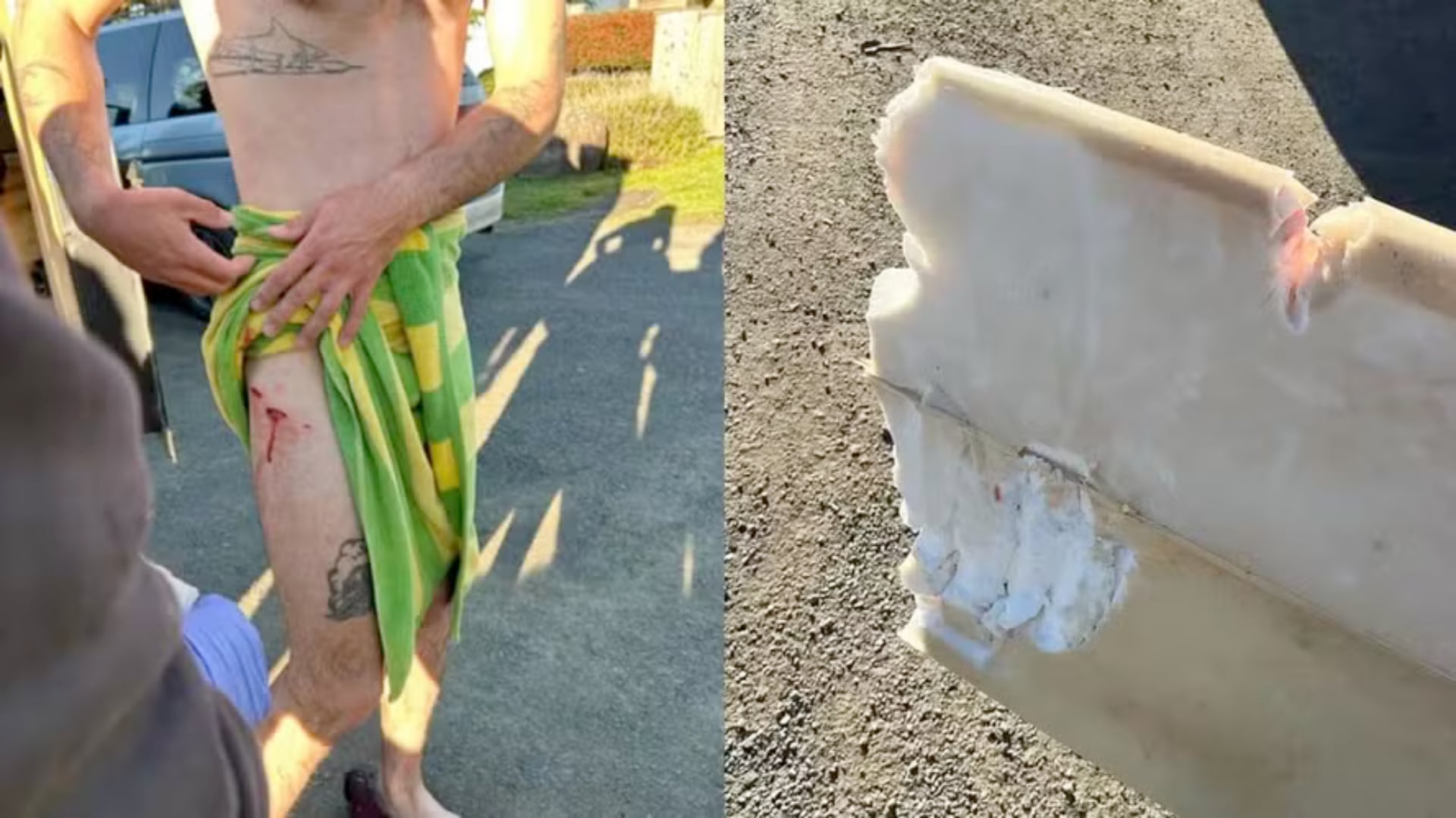 Un tiburón atacó a un surfista en Gualala, lo lanzó al agua y destruyó su tabla. El joven logró llegar a la costa y recibió atención médica.