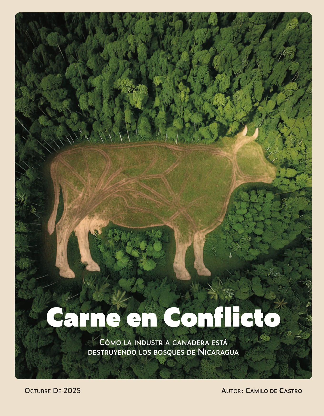 Portada del informe Carne en Conflicto.
