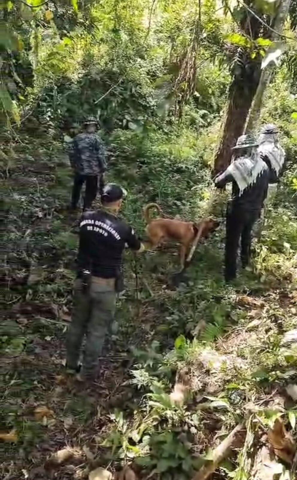 El OIJ de Limón allanó tres propiedades como parte de una investigación por el asesinato de un hombre identificado como Jimmy Moraga Parajeles, de 43 años.