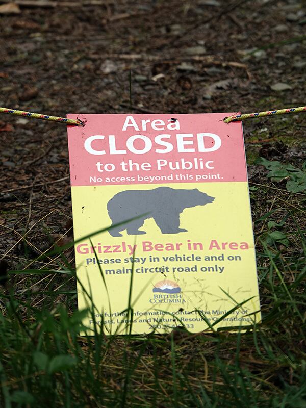 Un rótulo que pide cuidarse de los osos. Está derribado en el piso.