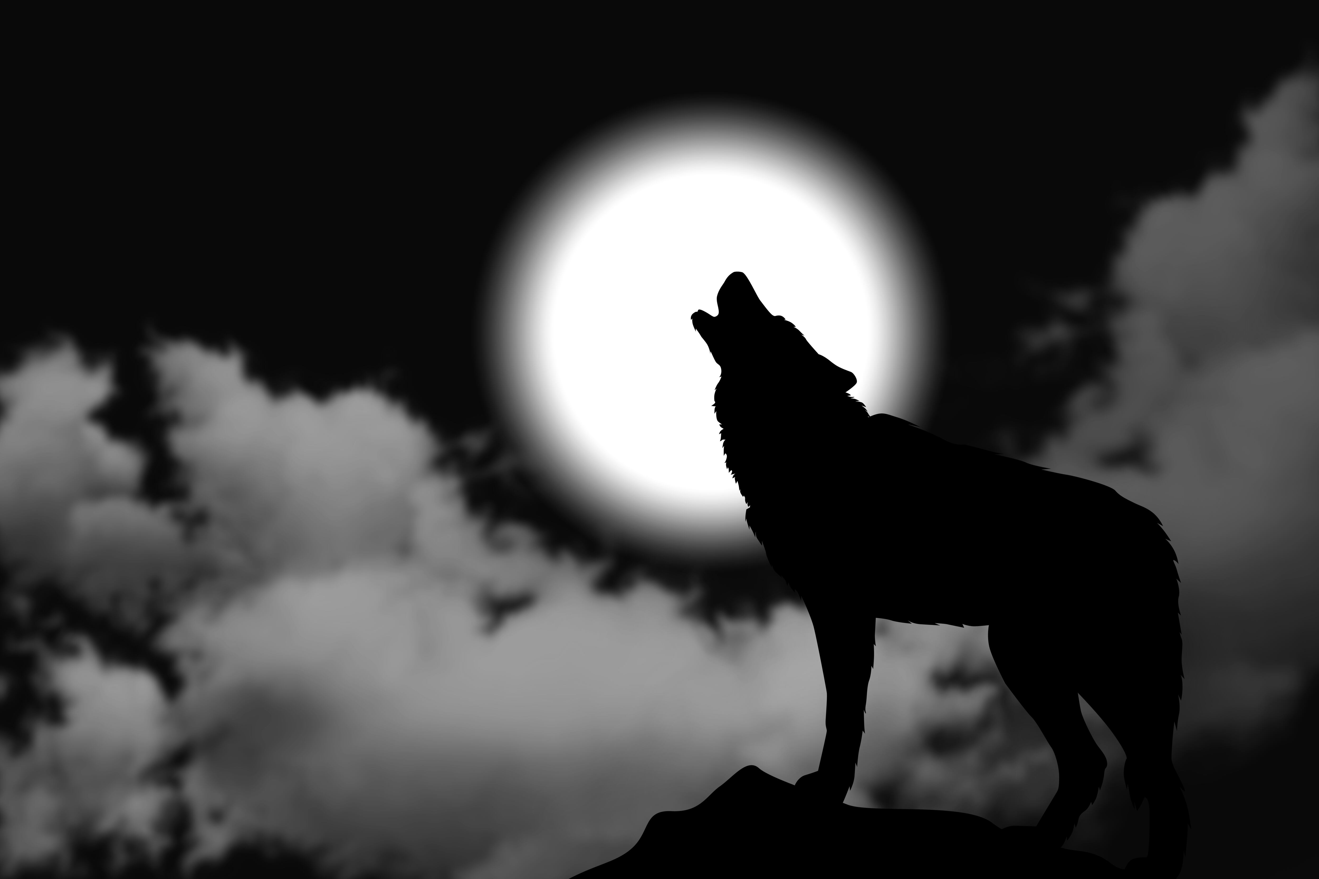 Lobo, lobos en la noche