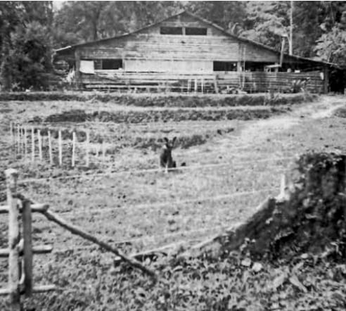 La casa de los suegros de Julia van Wilpe en Sarapiquí.
