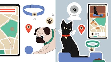 Veterinaria: ‘Recuerdo un perrito que rompía todo y al ver la cámara, entendimos que lloraba por ansiedad’