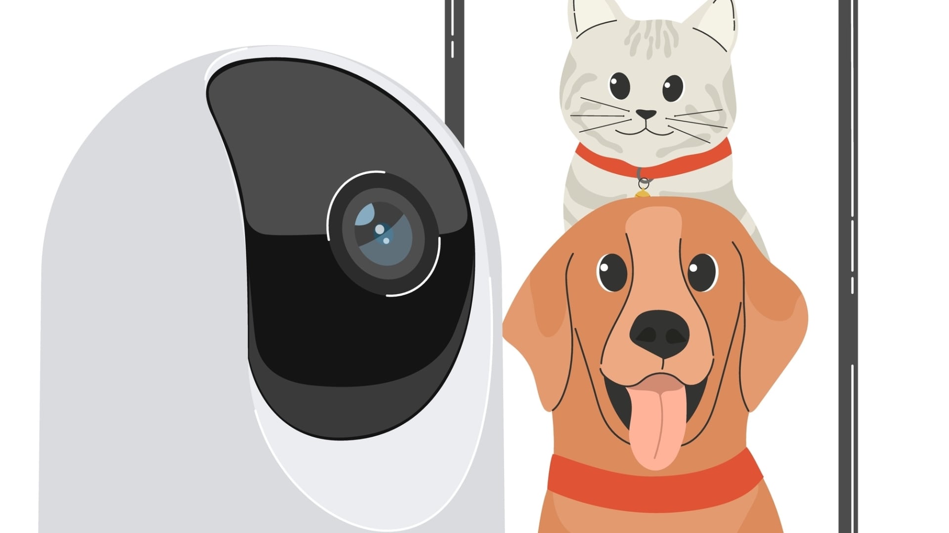Cada vez más tutores recurren a la tecnología para mantenerse conectados con sus mascotas durante el día, descubriendo patrones de comportamiento que pueden revelar aspectos importantes de su bienestar.