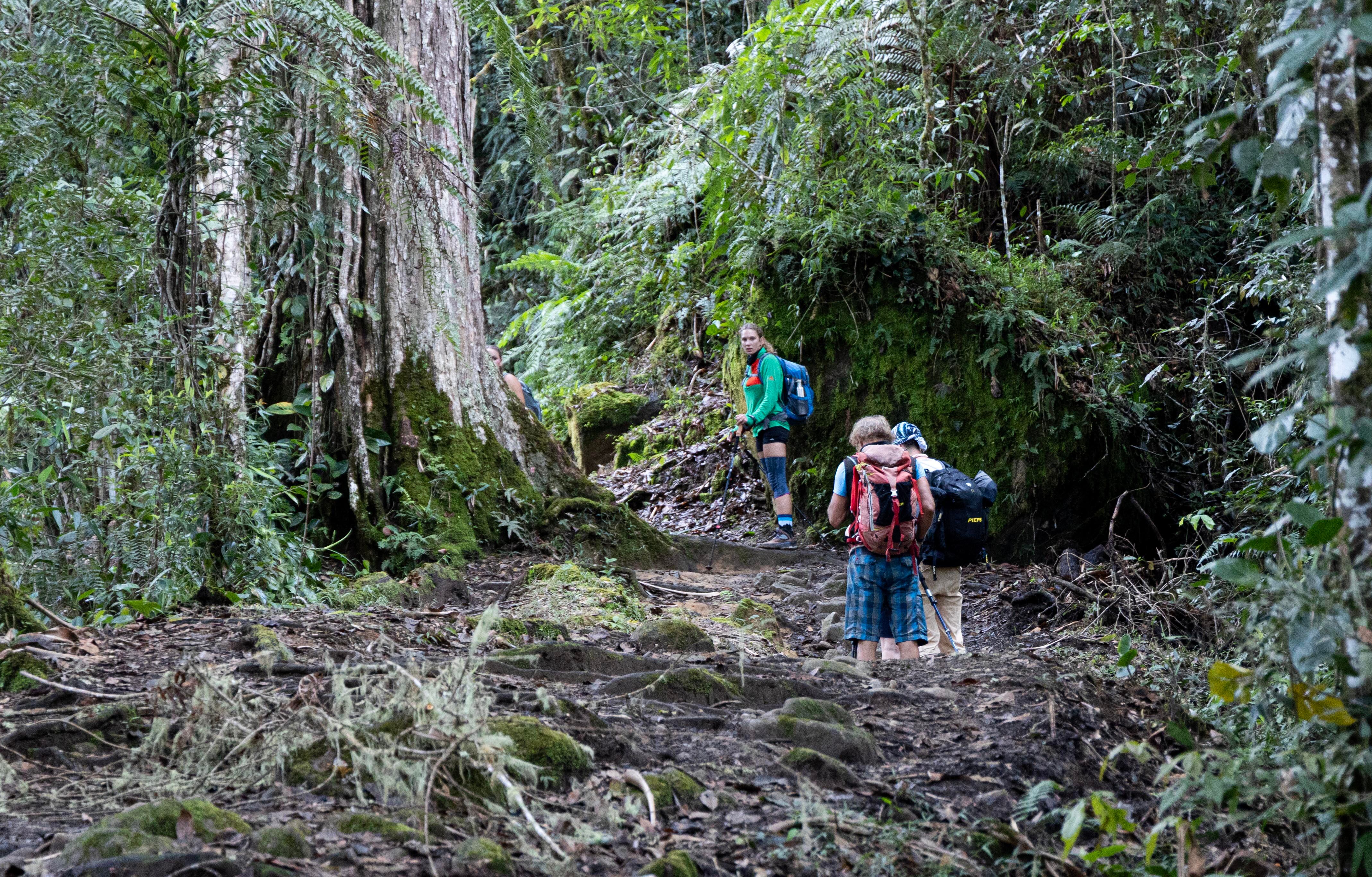 La visitación turística en Costa Rica sigue en desaceleración. Entre enero y setiembre, la llegada de visitantes volvió a caer respecto al mismo periodo del año pasado, según las estadísticas del Instituto Costarricense de Turismo (ICT).