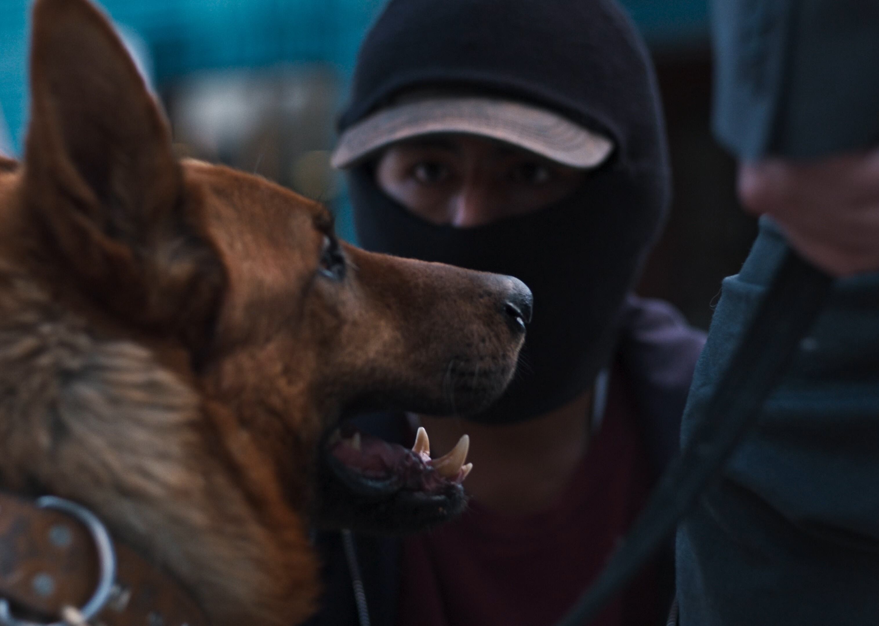 Fotograma de 'El ladrón de perros', ganadora de la Biznaga de Oro en el Festival de Málaga en el 2024.