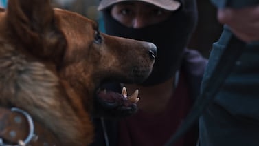 ‘El ladrón de perros’, una fuerte y premiada historia, se estrena en salas de Costa Rica