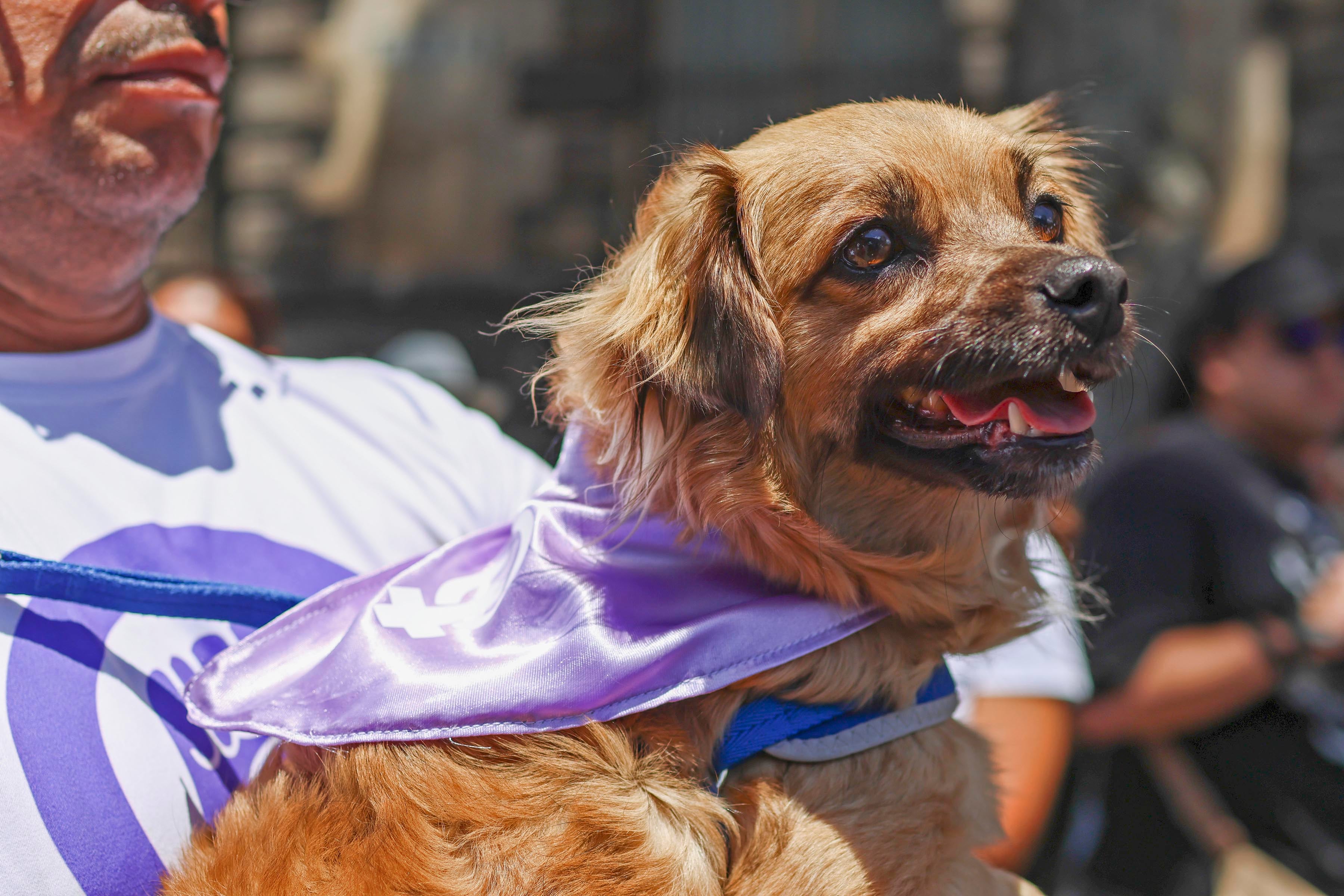 Marcha Día Internacional de la Mujer