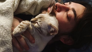 No es solo sueño: el motivo científico por el que su gato decide dormir arriba de su pecho