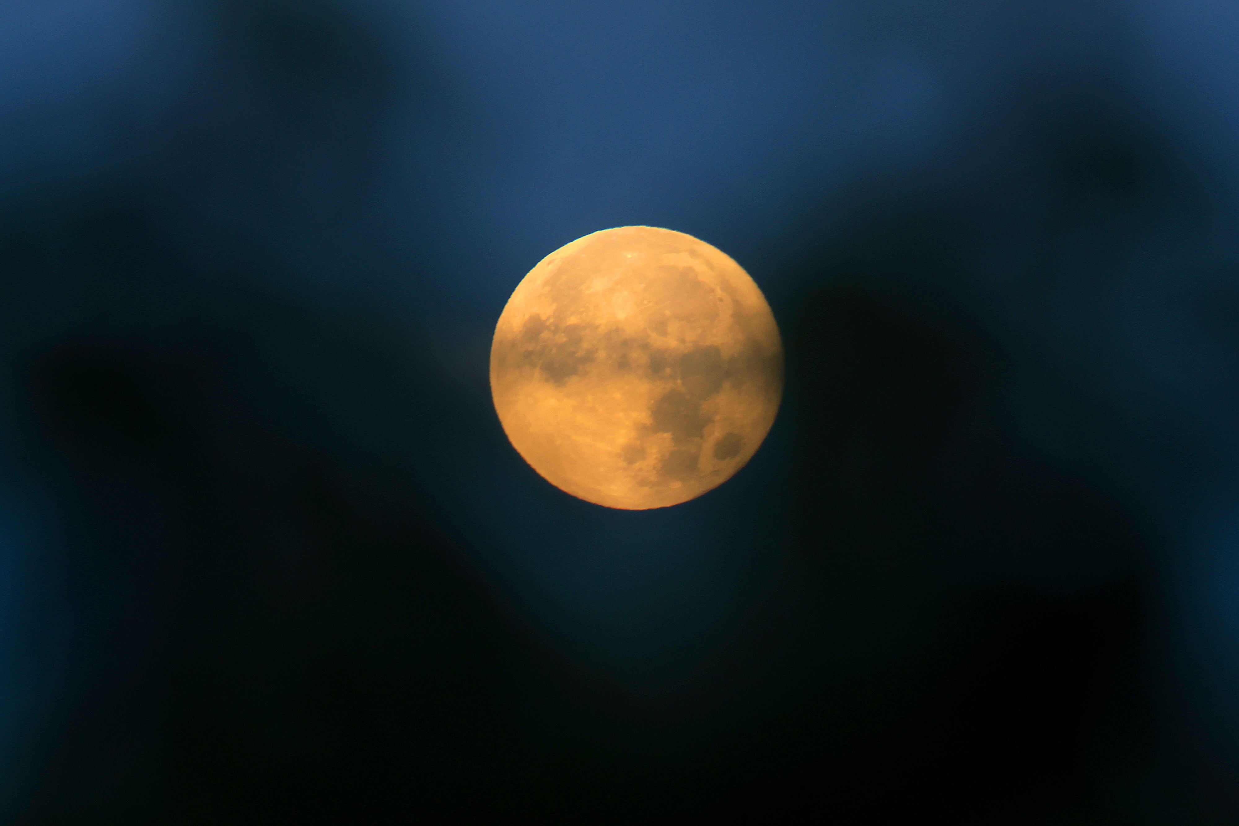 Luna llena