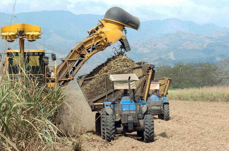 El caso partió de una denuncia de la Liga Agrícola Industrial de la Caña de Azúcar (Laica) en el sentido de que las crecientes importaciones afectan a la producción nacional.