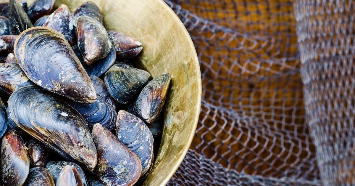 en la imagen un puñado de mejillones y otras en una red