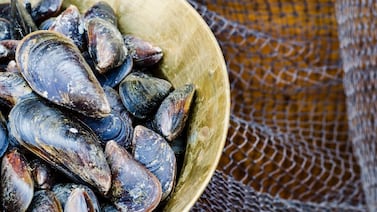 Alerta por marea roja: Senasa amplía prohibición de extracción y venta de moluscos en zonas del Pacífico