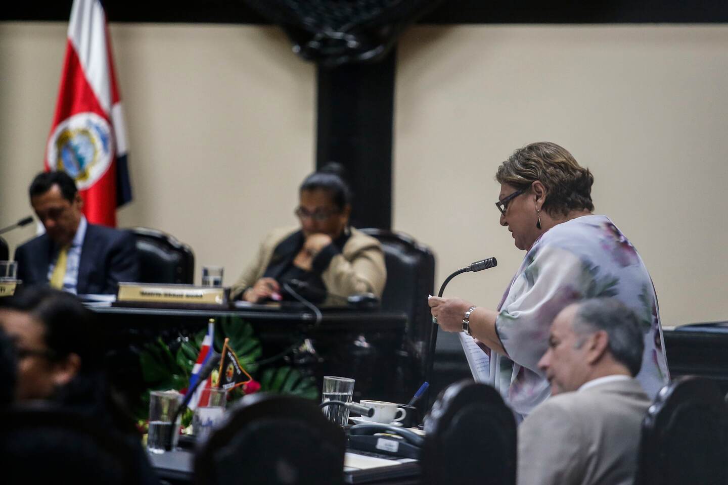Laura Garro, del PAC, fue la segunda en dar su discursos. Ella reiteró el apoyo al legislativo.