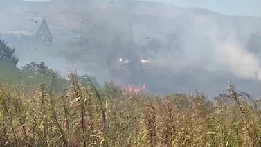 Evacúan colegio en Alajuela por crisis de asma tras quema de charral