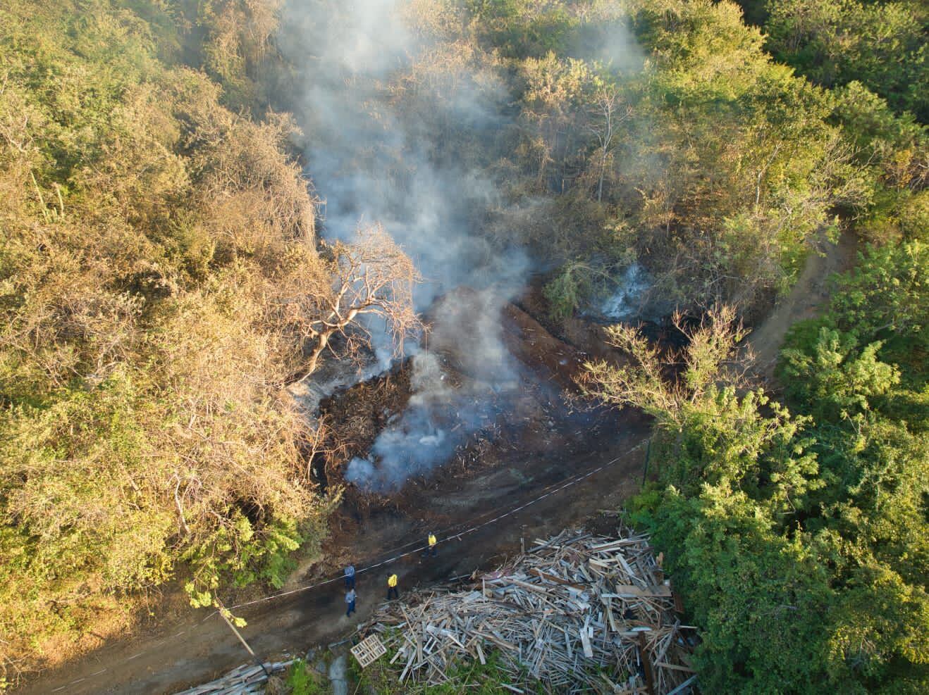 Incendio forestal en Santa Cruz de Guanacaste
