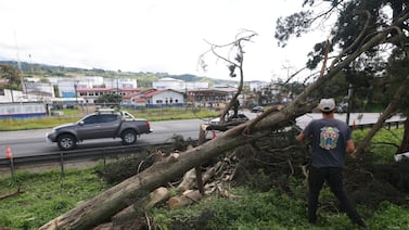 ¿Qué pasó con los árboles en Ochomogo sobre autopista Florencio del Castillo? Fotos y videos