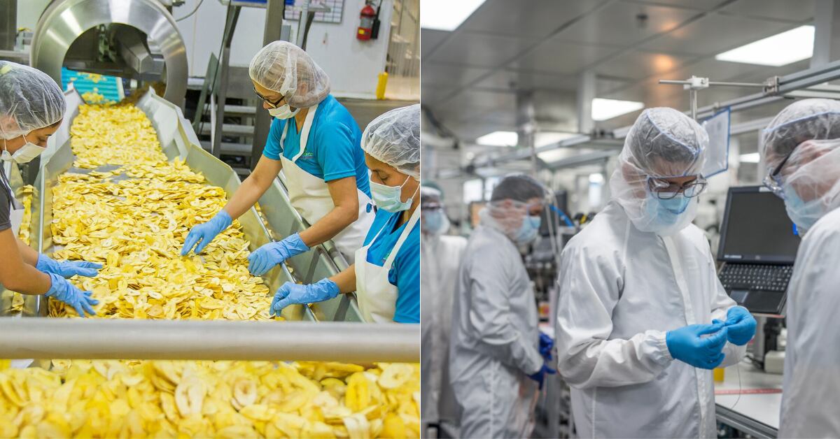 Operarios en línea de producción de alimentos y técnicos en laboratorio de dispositivos médicos en Costa Rica, que ilustran la diferencia entre el Régimen Definitivo y las zonas francas en la economía nacional.