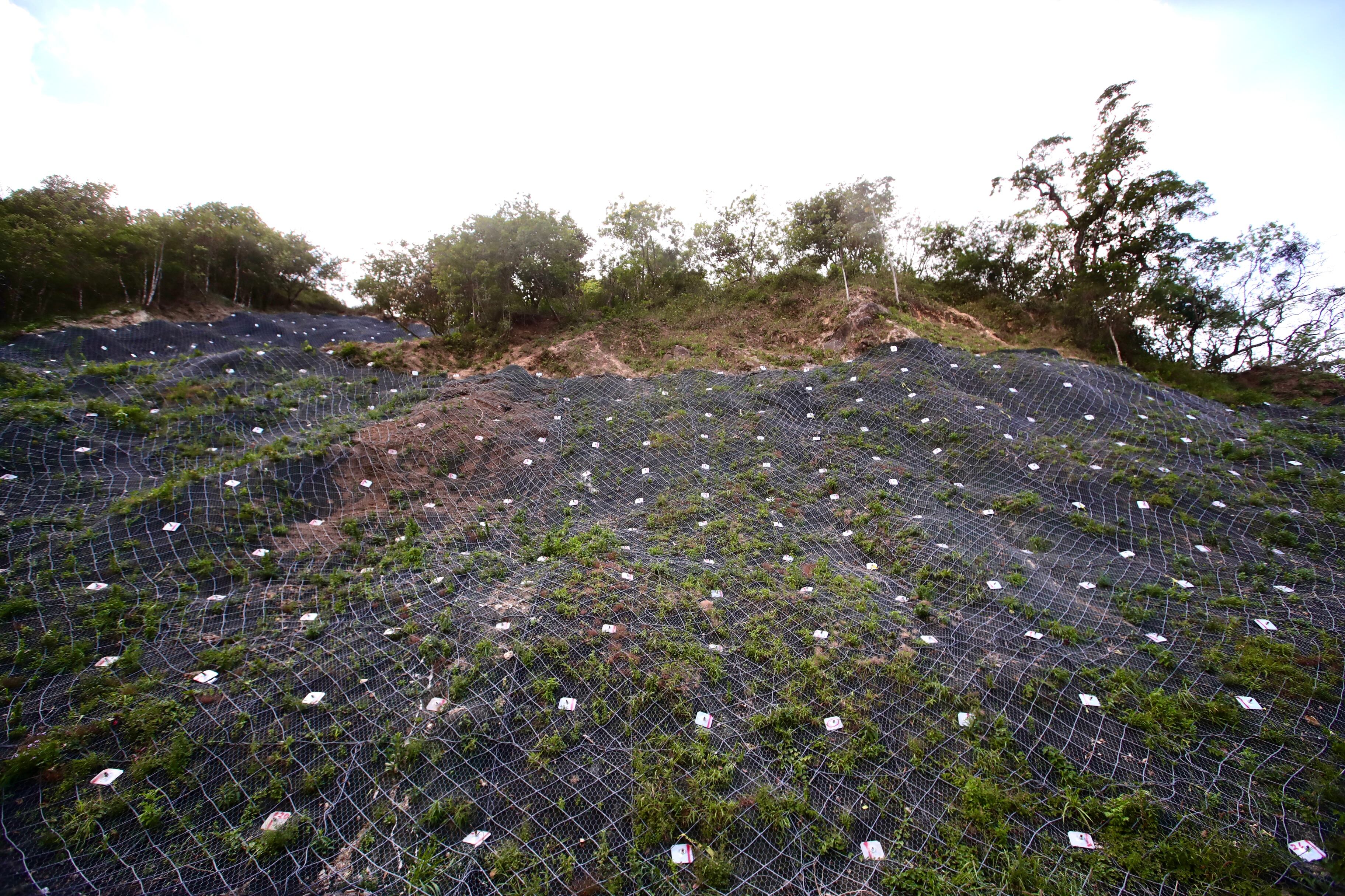 Mallas de protección Cambronero Ruta 1