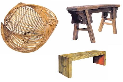 Bambú: una apuesta natural