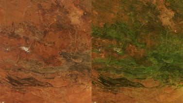 El sorprendente cambio de rojo a verde que transformó el desierto australiano