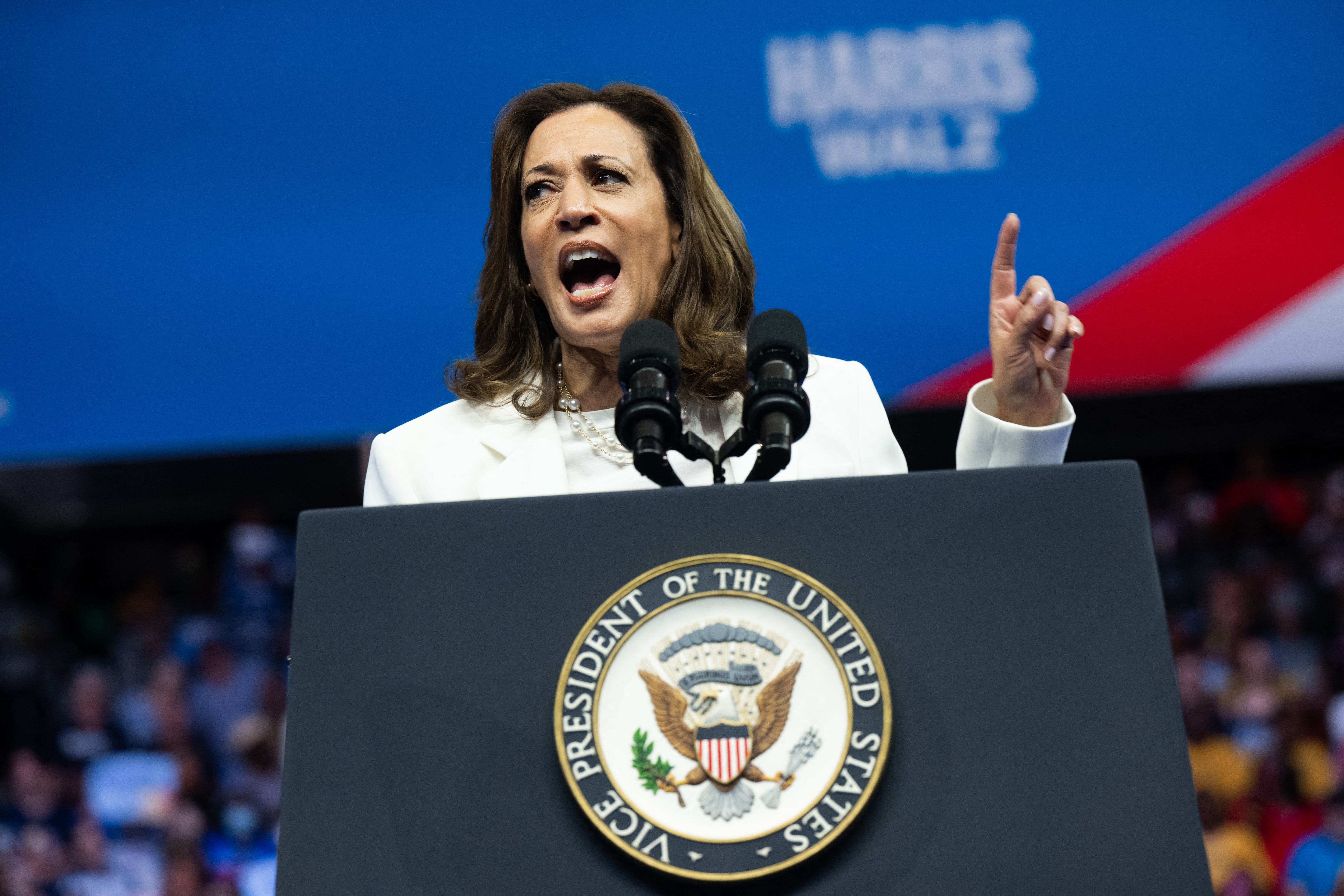 Kamala Harris continúa su campaña electoral en los estados que suelen definir elecciones. Foto: AFPKamala Harris continúa su campaña electoral en los estados que suelen definir elecciones. Foto: AFP