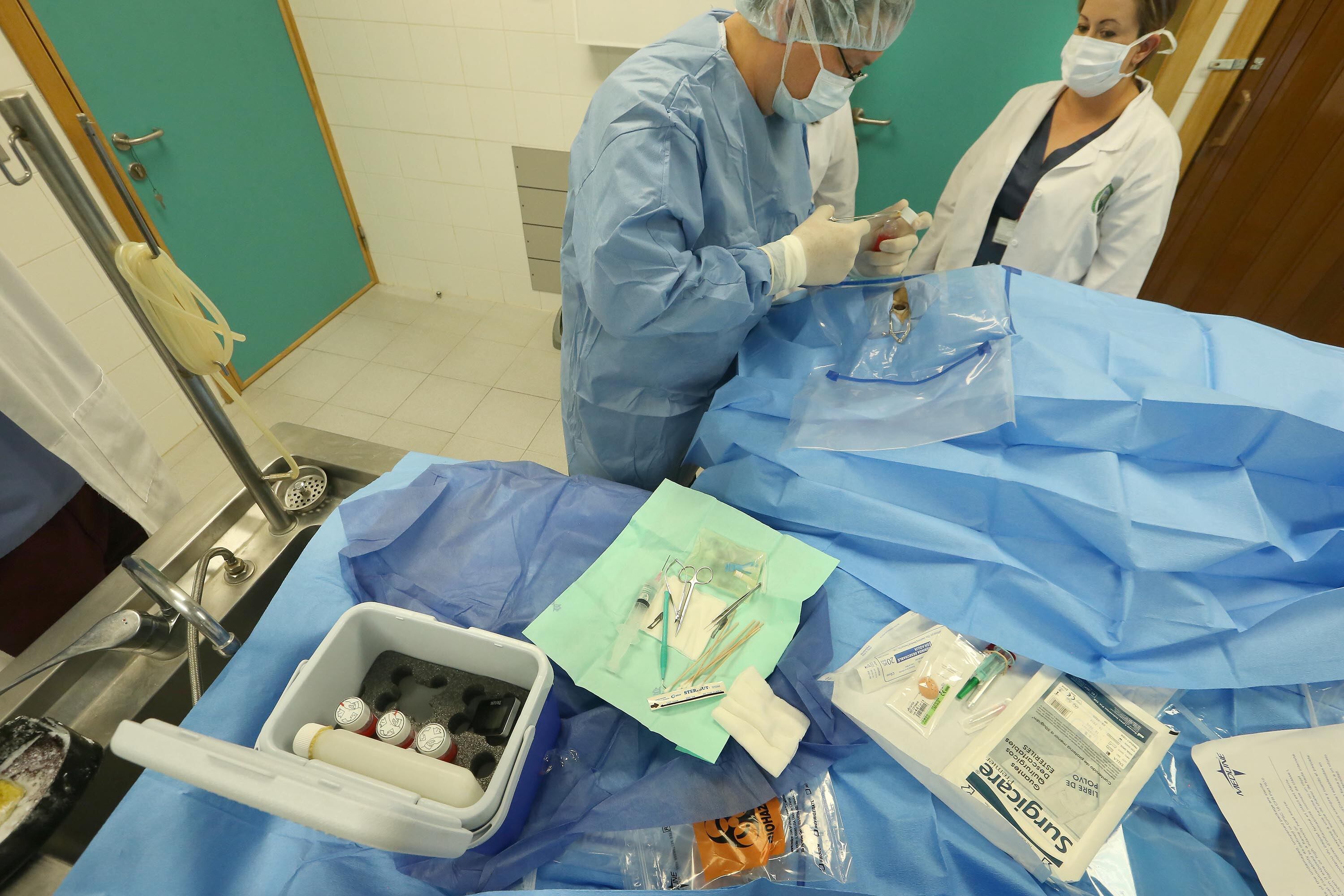 Quirófano con personal extrayendo un órgano.