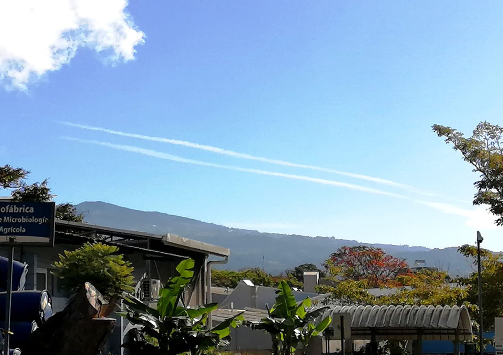 El 19 de enero del año pasado en la mañana dos aviones que surcaron nuestro cielo de forma paralela dejaron su rastro en el despejado cielo. Foto: Cortesía Erick Sánchez.