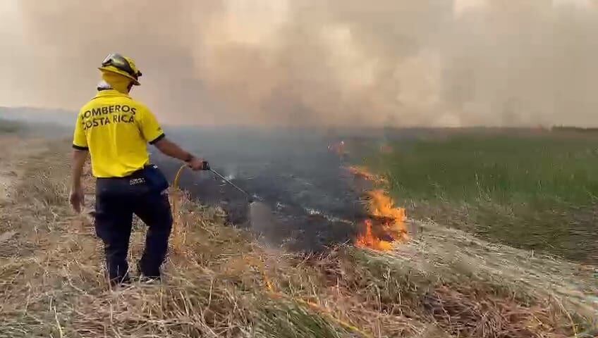 Los bomberos realizan diversas maniobras para cortar el avance del fuego. Foto: Édgar Chinchilla.