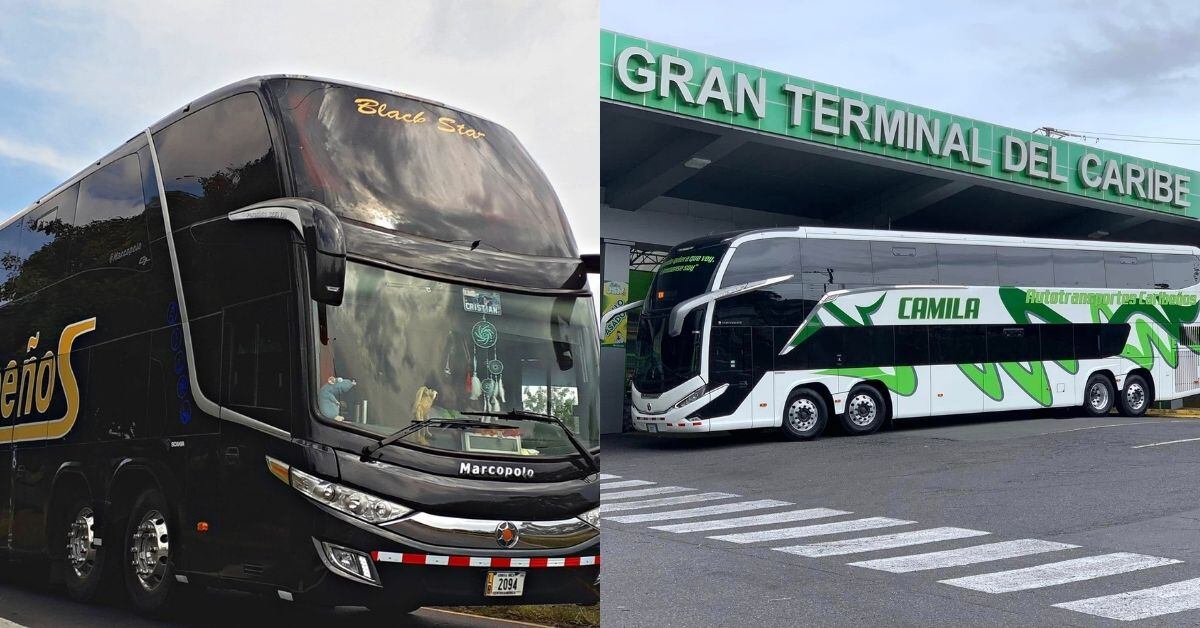 Mundial de buses