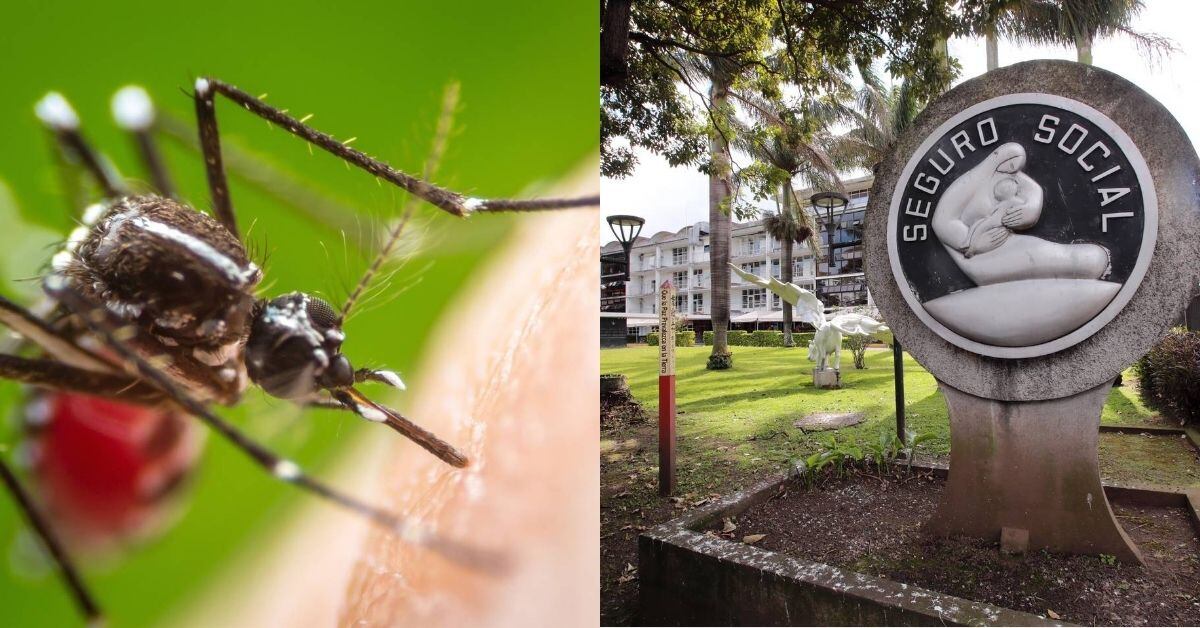 El dengue grave ha hospitalizado a seis niños.
Fotografía: Archivo