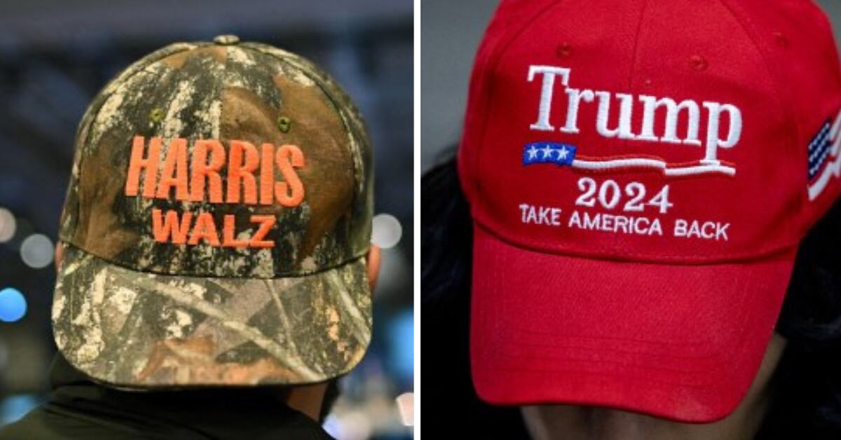Elecciones en EE. UU. 2024: Simpatizantes con gorras de Trump y Harris ilustran contenido editorial del economista Ottón Solís.