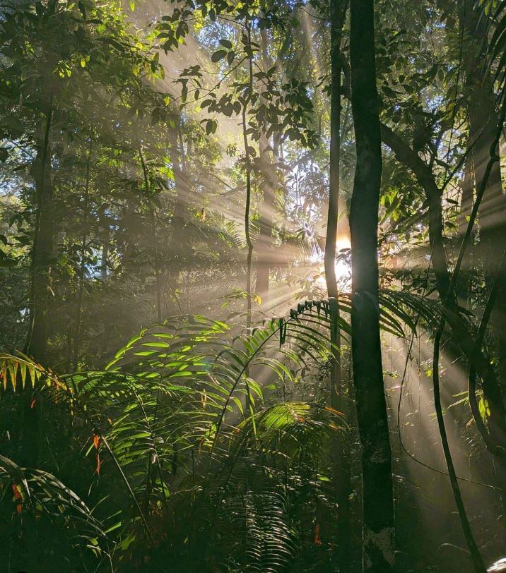 Reserva biológica Tirimbina. (Foto de la reserva)